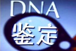 内江上学DNA鉴定需要怎么做，内江升学DNA亲子鉴定机构到哪