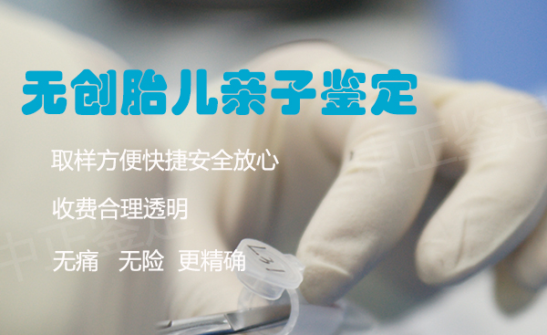 内江怀孕怎么偷偷做亲子鉴定,内江怀孕亲子鉴定精准性高吗 内江怀孕怎么偷偷做亲子鉴定,内江怀孕亲子鉴定精准性高吗